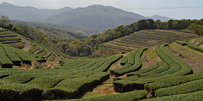 田染荘(世界農業遺産代表的景勝地）　写真